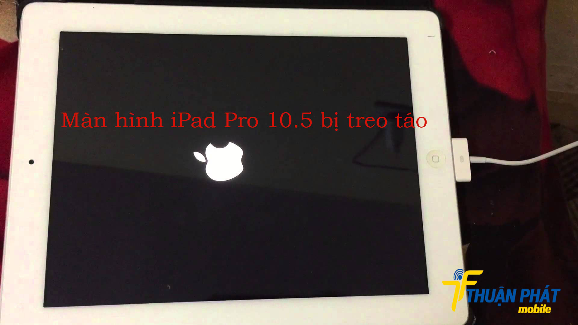 Màn hình iPad Pro 10.5 bị treo táo