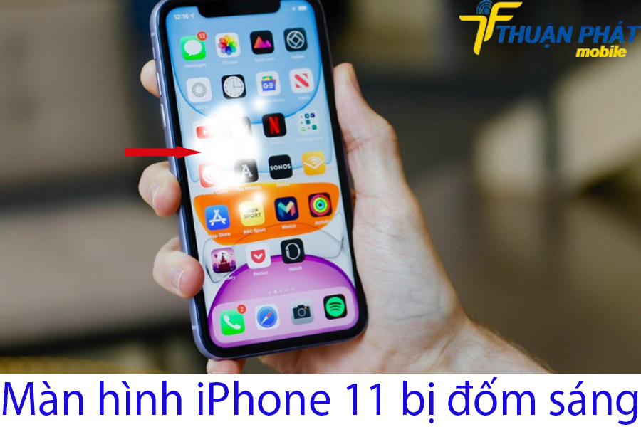 Màn hình iPhone 11 bị đốm sáng