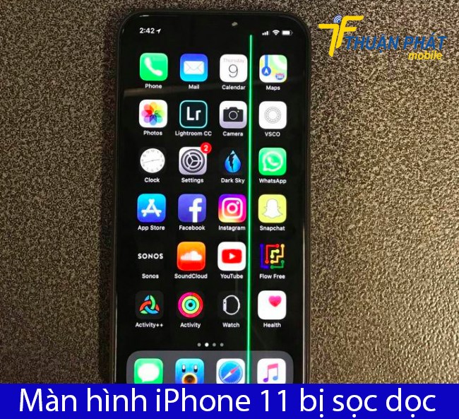 Màn hình iPhone 11 bị sọc dọc