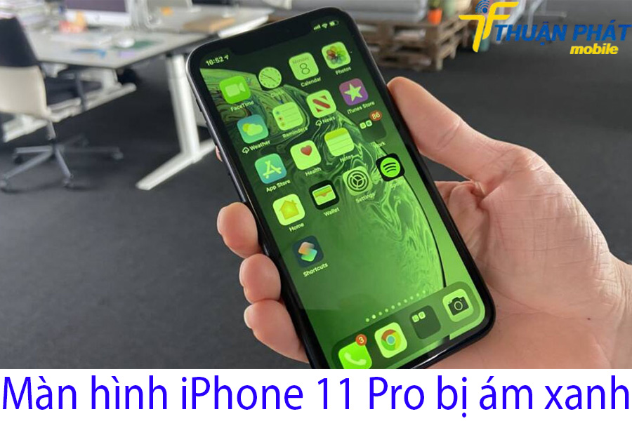 Màn hình iPhone 11 Pro bị ám xanh 1