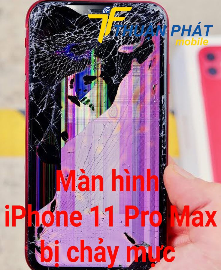 Màn hình iPhone 11 Pro Max bị chảy mực