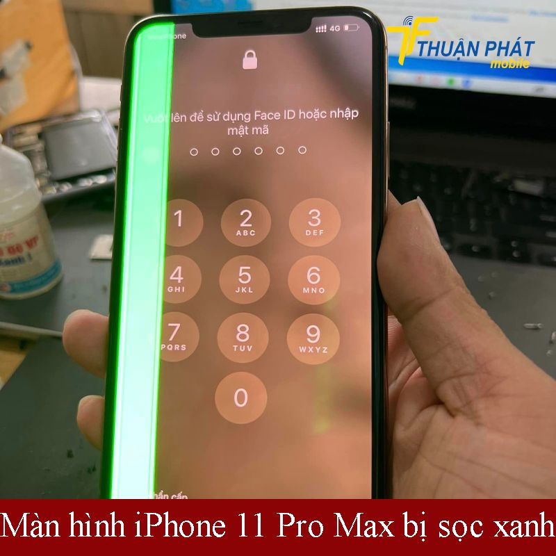Màn hình iPhone 11 Pro Max bị sọc xanh