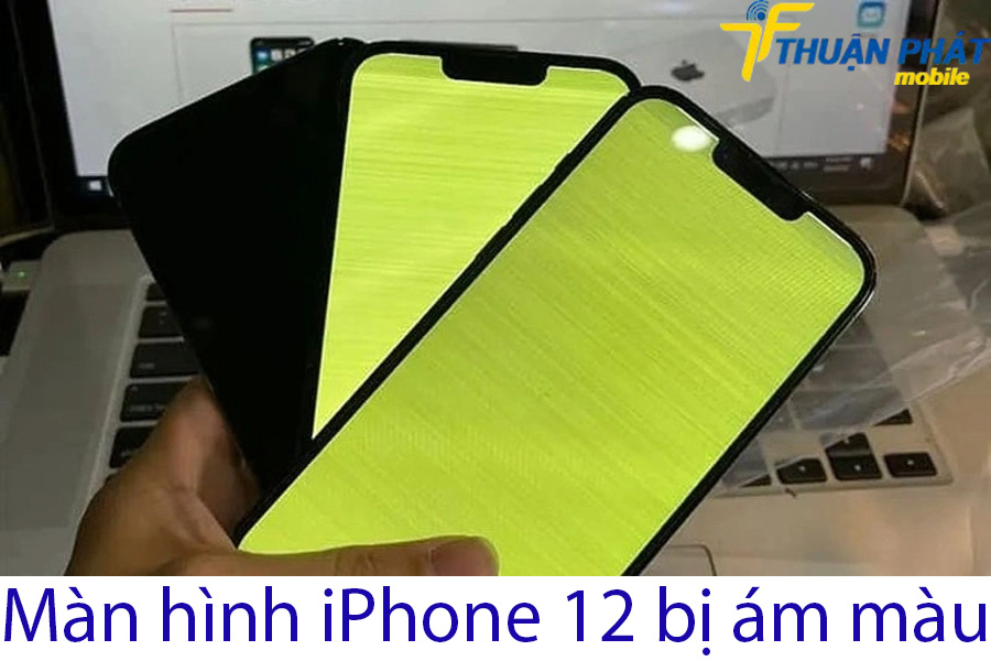 Màn hình iPhone 12 bị ám màu Màn hình iPhone 12 bị ám màu