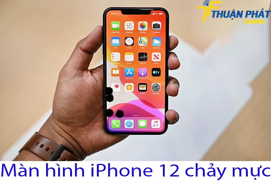 Màn hình iPhone 12 bị chảy mực 1