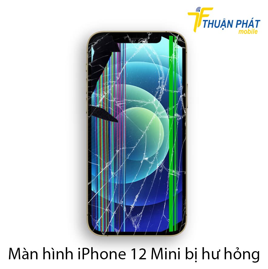 Màn hình iPhone 12 Mini bị hư hỏng