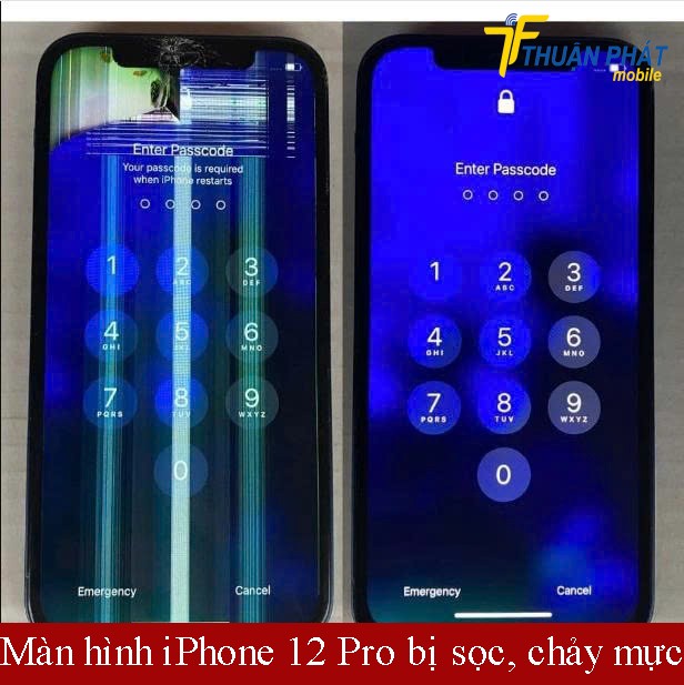 Màn hình iPhone 12 Pro bị sọc chảy mực