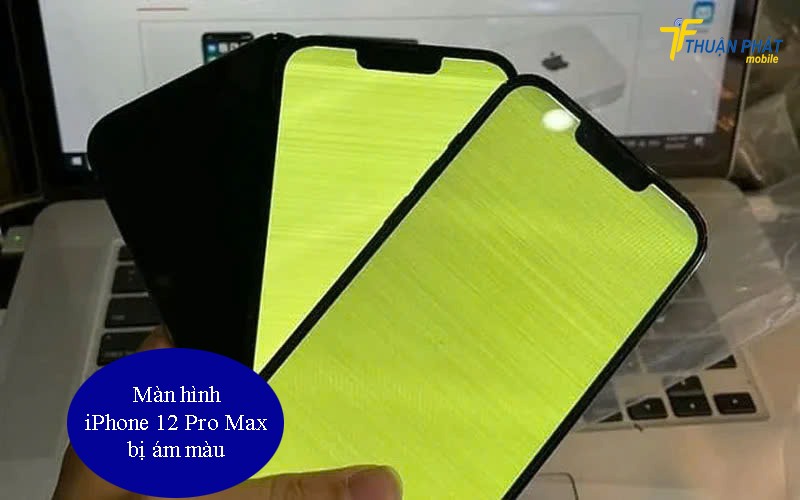 Màn hình iPhone 12 Pro Max bị ám màu