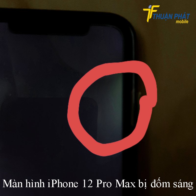 Màn hình iPhone 12 Pro Max bị đốm sáng