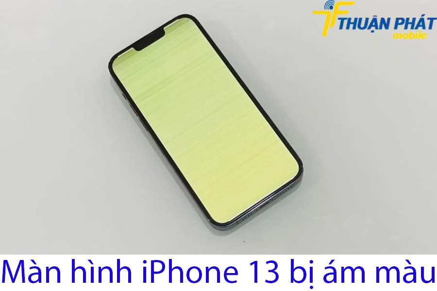 Màn hình iPhone 13 bị ám màu Màn hình iPhone 13 bị ám màu