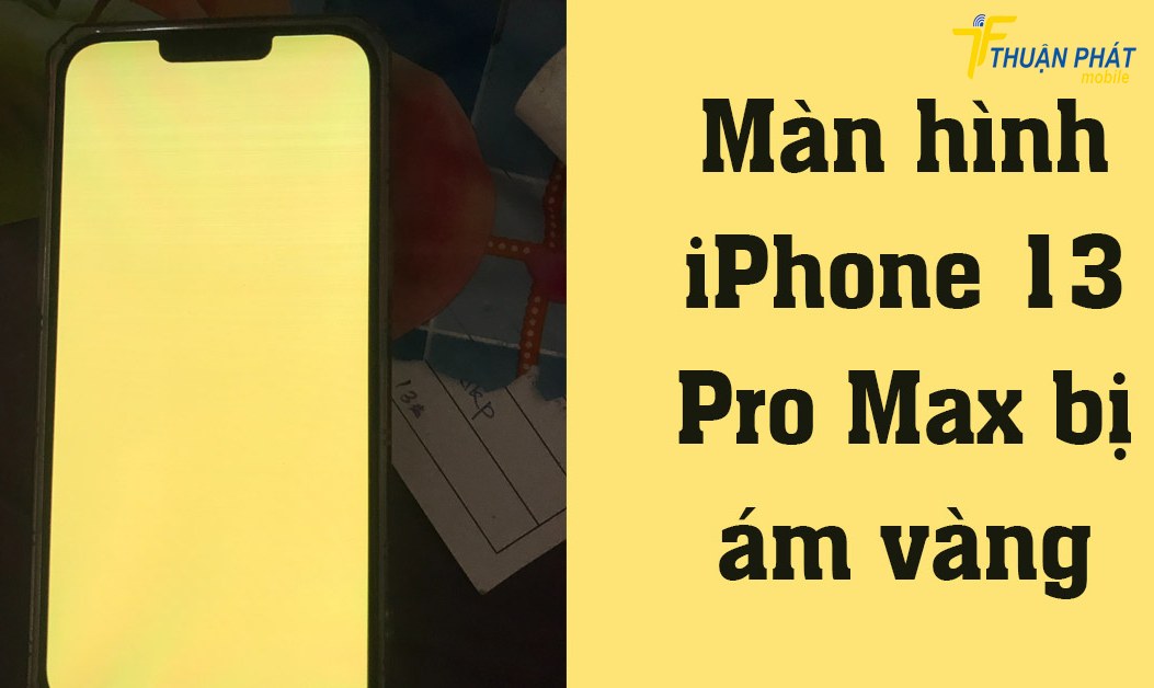 Màn hình iPhone 13 Pro Max bị ám màu