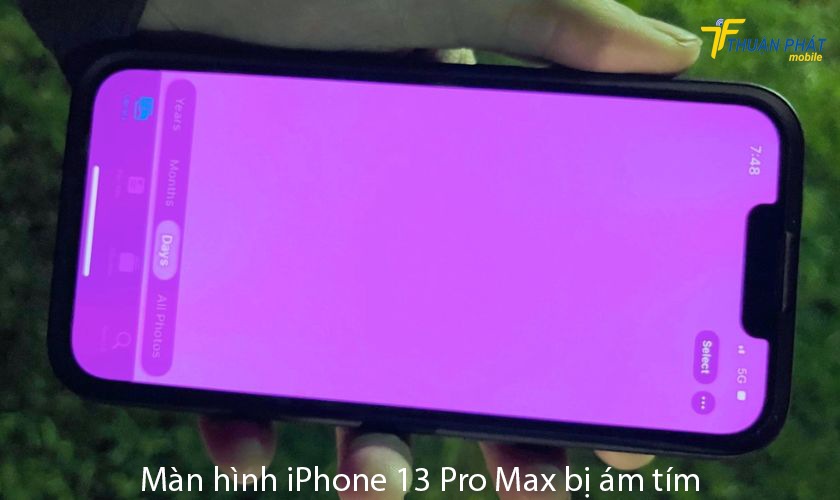 Màn hình iPhone 13 Pro Max bị ám tím Màn hình iPhone 13 Pro Max bị ám tím