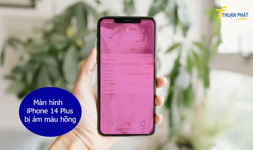 Màn hình iPhone 14 Plus bị ám hồng