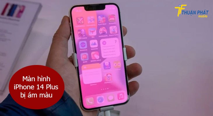 Màn hình iPhone 14 Plus bị ám màu