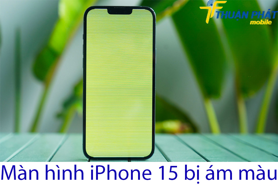 Màn hình iPhone 15 bị ám màu