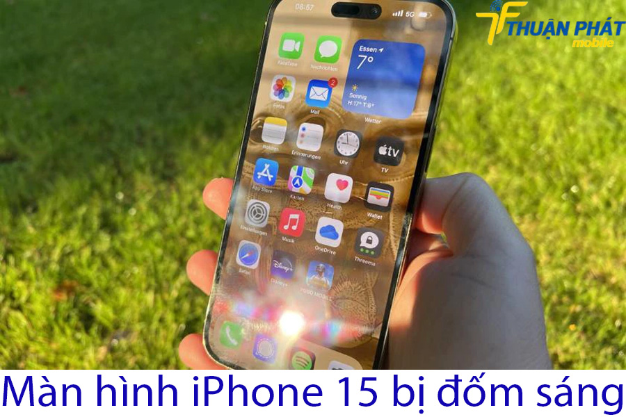 Màn hình iPhone 15 bị đốm sáng