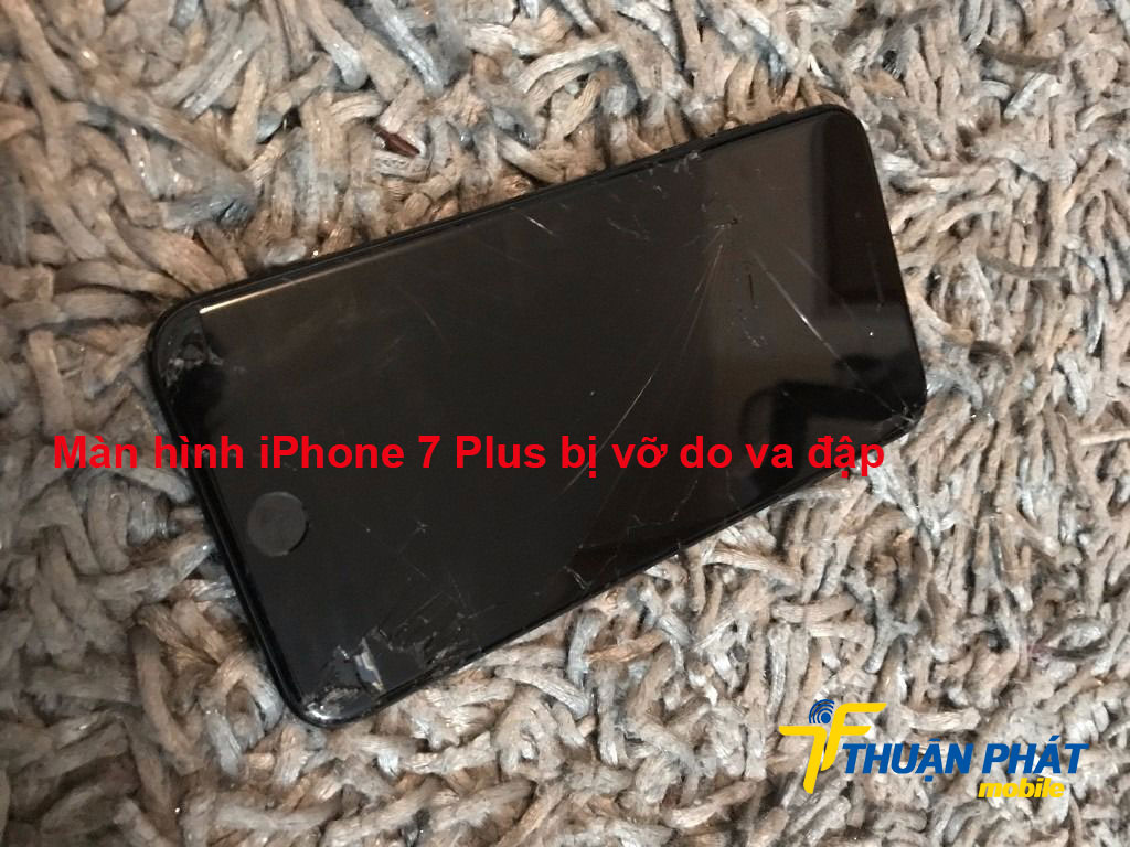 Màn hình iPhone 7 Plus bị vỡ do va đập