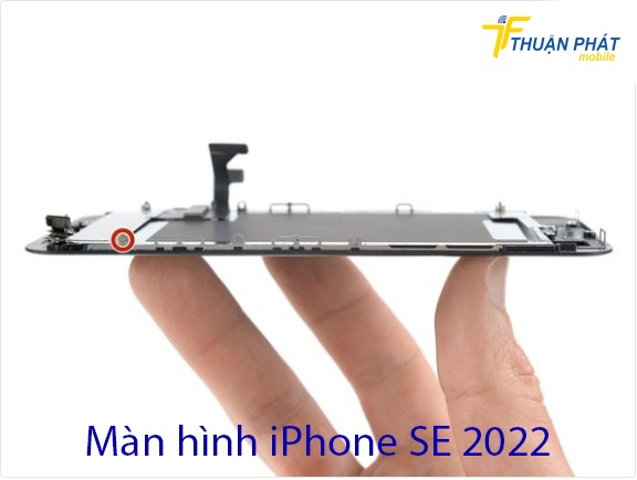 Màn hình iPhone SE 2022