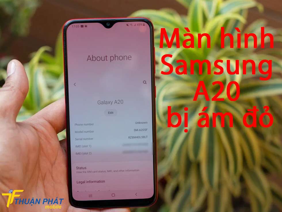 Màn hình Samsung A20 bị ám đỏ