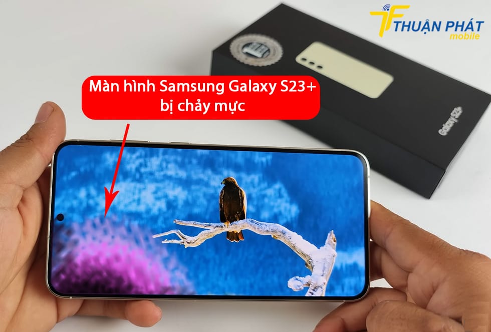 Màn hình Samsung Galaxy S23+ bị chảy mực