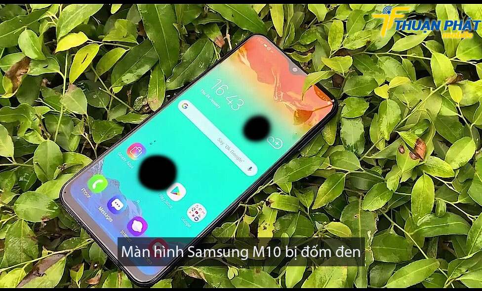 Màn hình Samsung M10 bị đốm đen