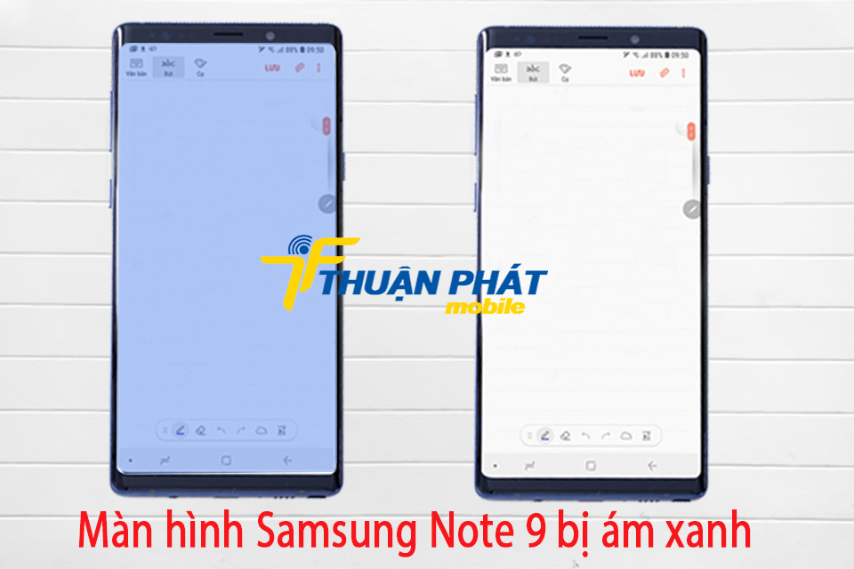 Màn hình Samsung Note 9 bị ám xanh