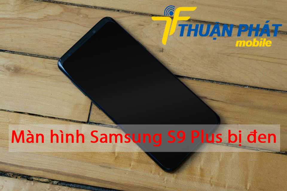 Màn hình Samsung S9 Plus bị đen màn hình