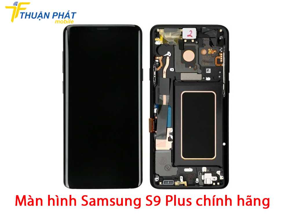 Màn hình Samsung S9 Plus chính hãng