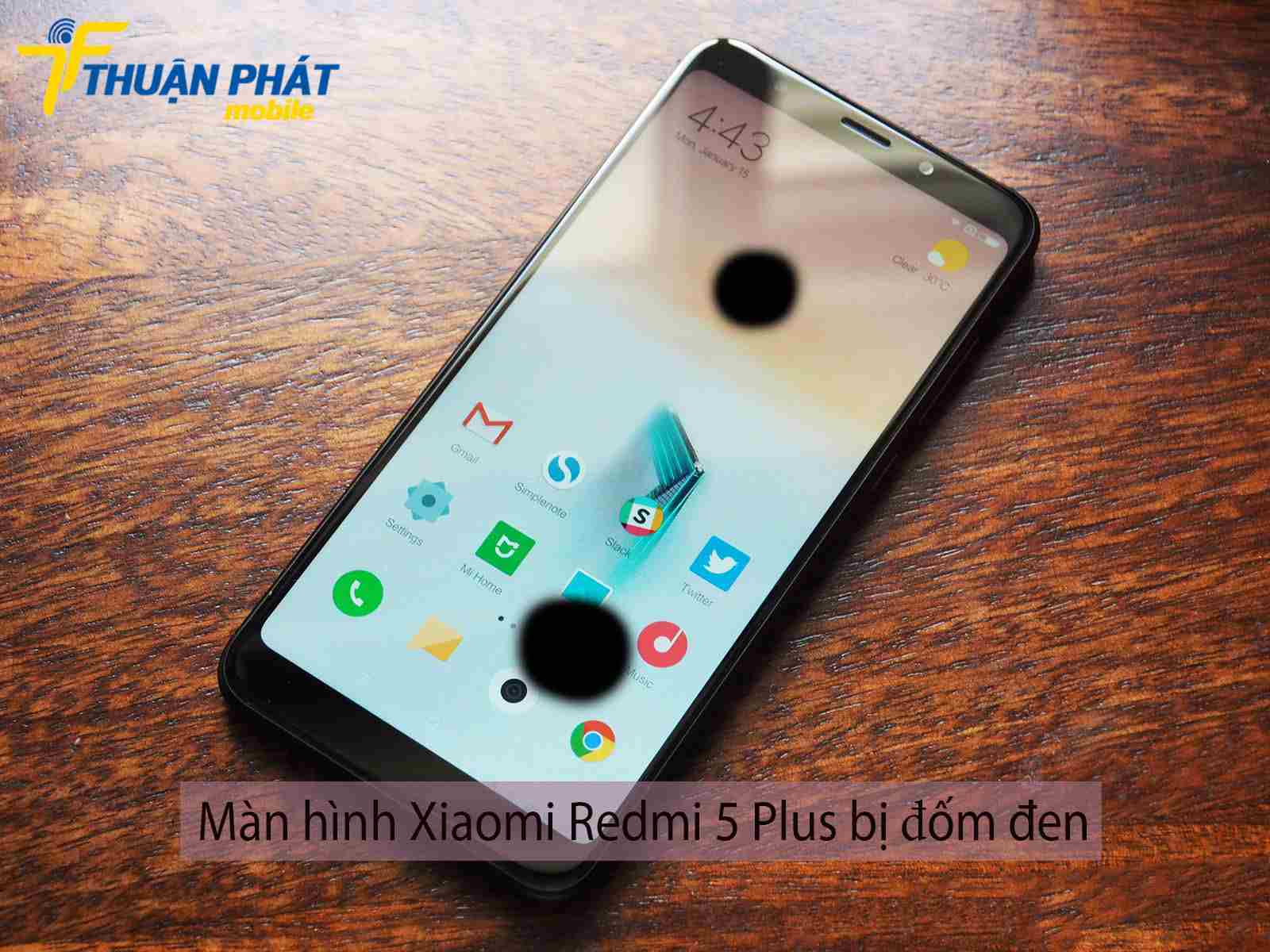 Màn hình Xiaomi Redmi 5 Plus bị đốm đen