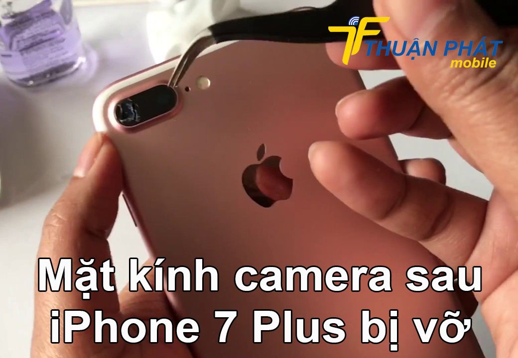 Mặt kính camera sau iPhone 7 Plus bị vỡ