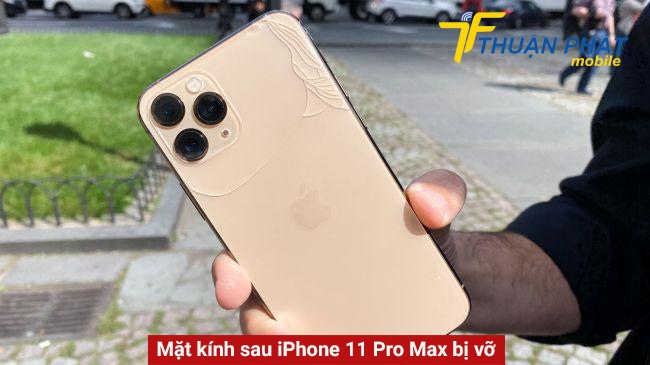 Mặt kính sau iPhone 11 Pro Max bị vỡ do va đập