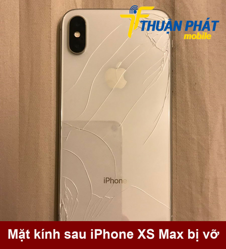 Mặt kính sau iPhone XS Max bị vỡ
