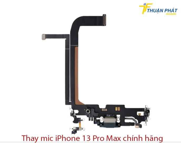 Mic iPhone 13 Pro Max chính hãng