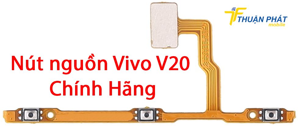 Nút nguồn Vivo V20 chính hãng