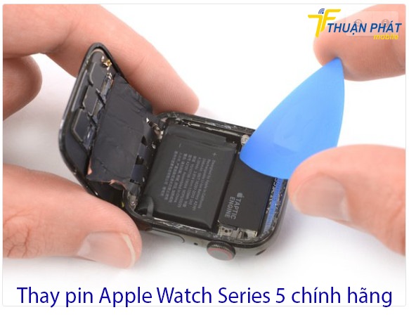 Pin Apple Watch Series 5 chính hãng