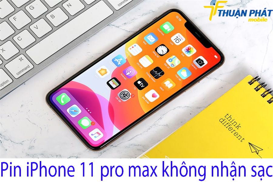 Pin iPhone 11 pro max không nhận sạc