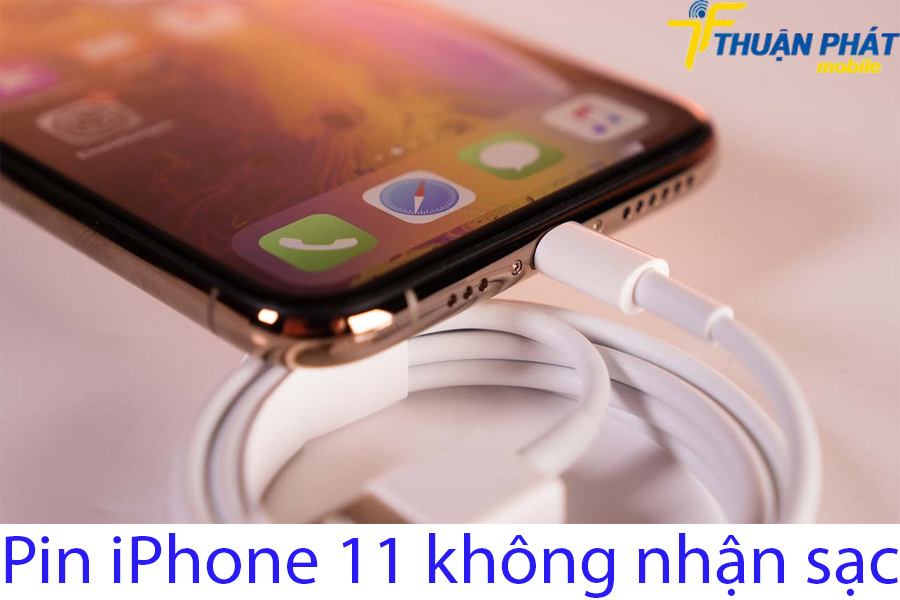 Pin iPhone 11 không nhận sạc
