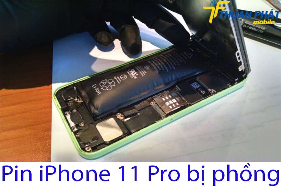 Pin iPhone 11 Pro bị phồng