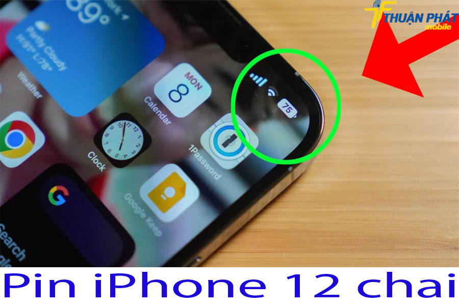 Pin iPhone 12 bị chai 1