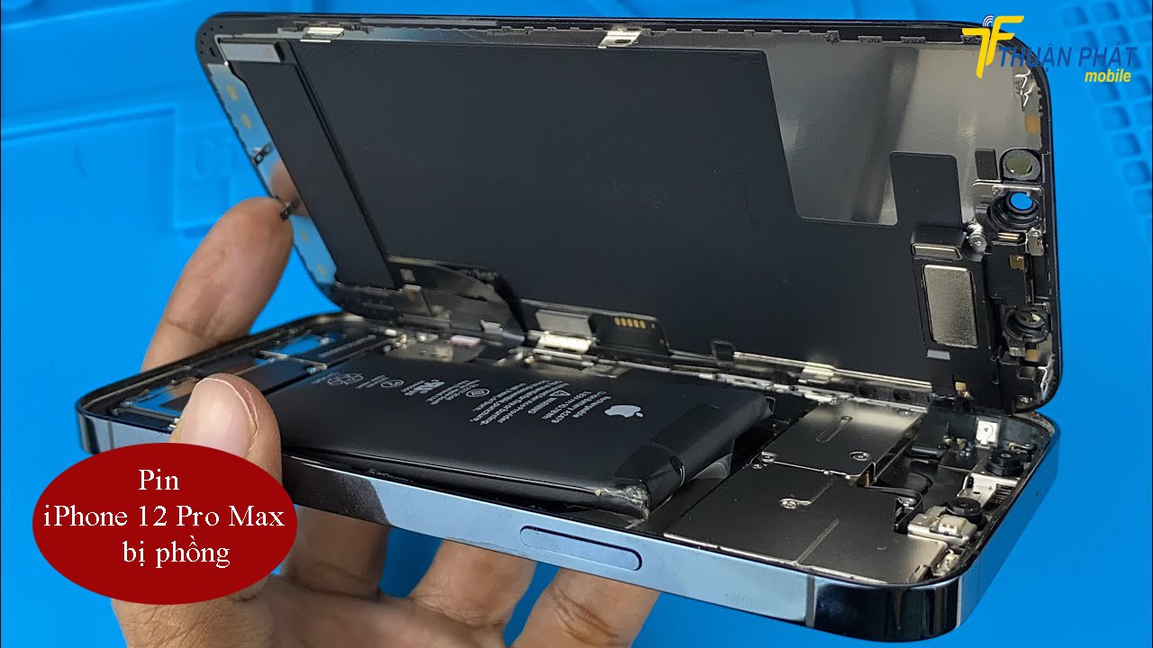 Pin iPhone 12 Pro Max bị phồng