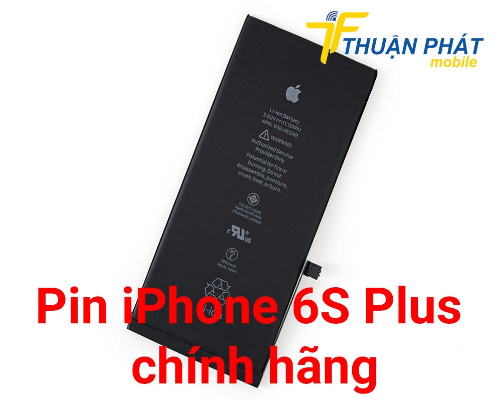 Pin iPhone 6S Plus chính hãng