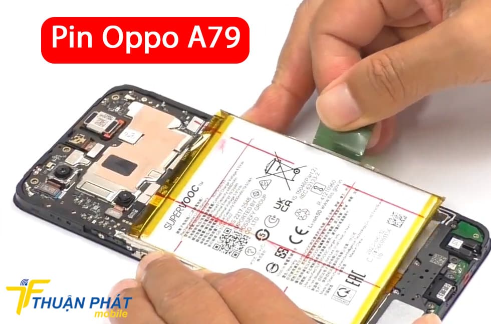 Pin Oppo A79