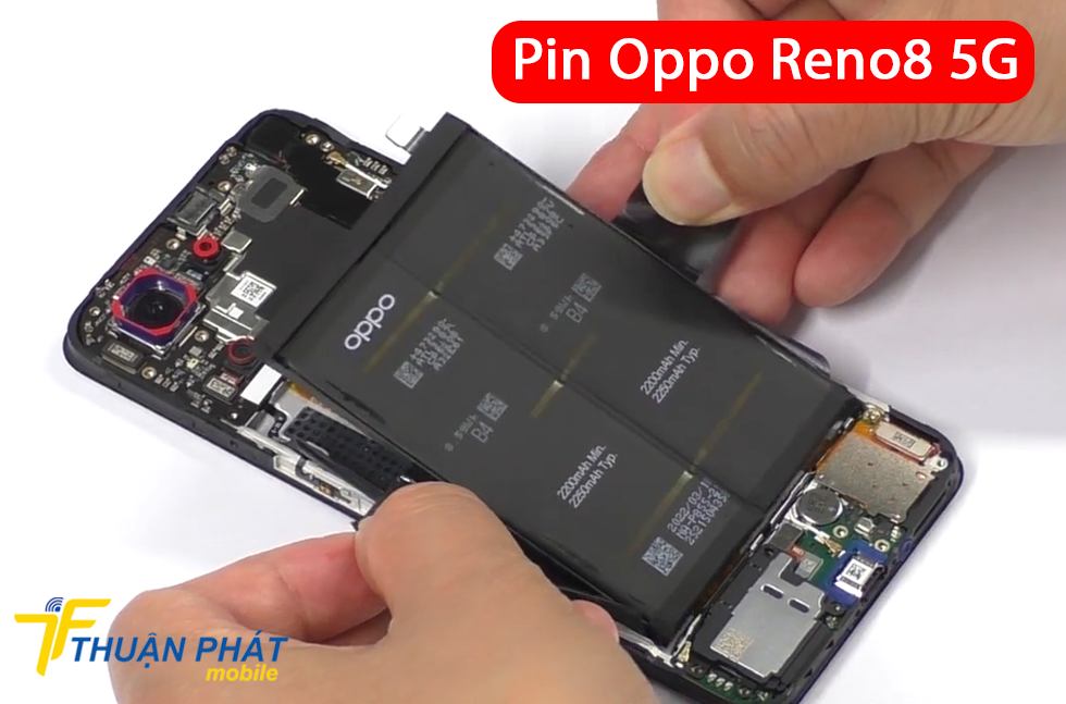 Pin Oppo Reno8 5G