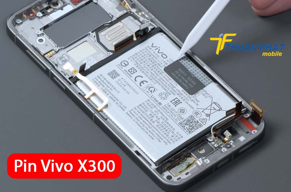 Pin Vivo X300