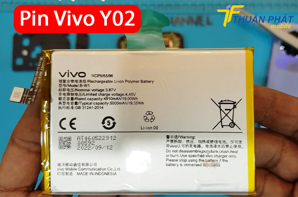 Pin Vivo Y02