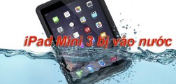 4 “mẹo” khắc phục iPad mini 3 bị vào nước, rớt vô nước nhanh chóng, hiệu quả 4 “mẹo” khắc phục iPad mini 3 bị vào nước, rớt vô nước nhanh chóng, hiệu quả
