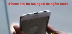 5 “mẹo” khắc phục iPhone 8 bị hư, hỏng loa ngoài đơn giản 5 “mẹo” khắc phục iPhone 8 bị hư, hỏng loa ngoài đơn giản