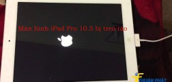 Khắc phục tình trạng màn hình iPad Pro 10.5 bị treo logo táo hiệu quả Khắc phục tình trạng màn hình iPad Pro 10.5 bị treo logo táo hiệu quả