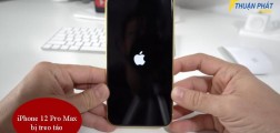 Cách xử lý iPhone 12 Pro Max bị treo táo hiệu quả, nhanh chóng