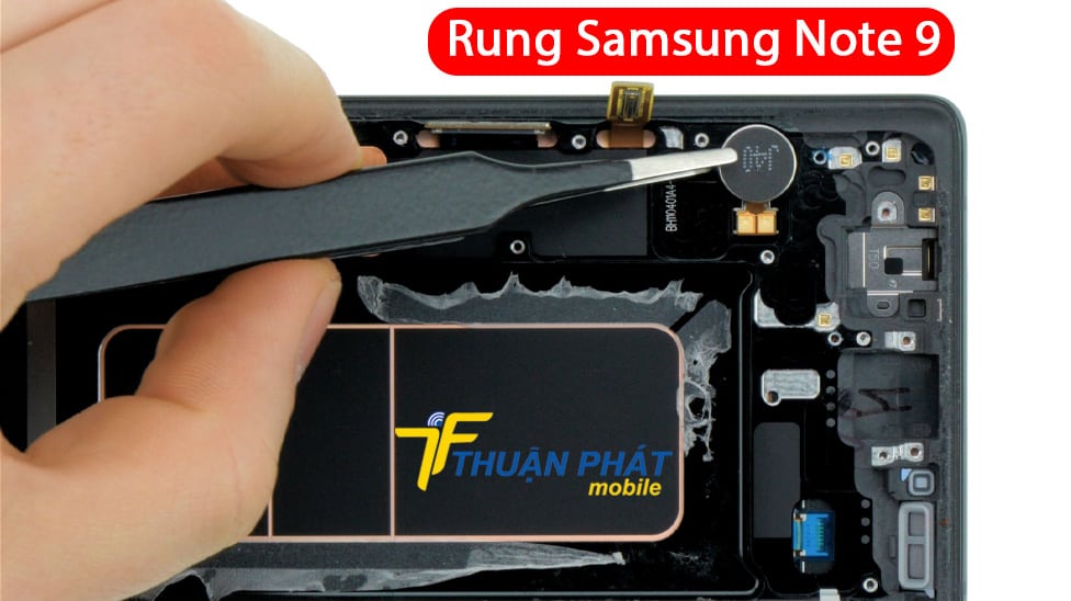 Rung Samsung Note 9