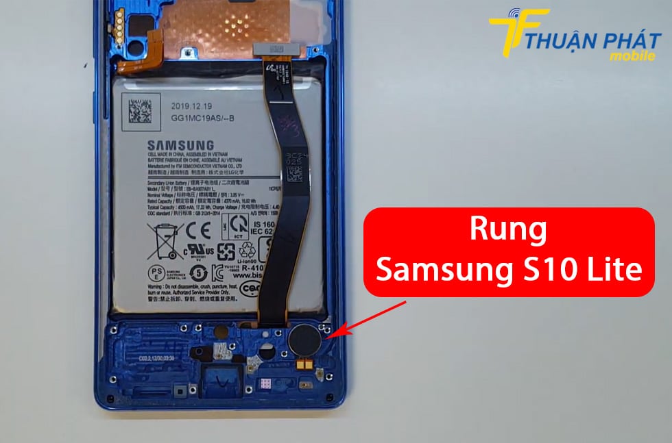 Rung Samsung S10 Lite